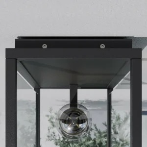 Lucande Applique Annalea avec abat-jour en verre IP54^ Appliques Murales Extérieures