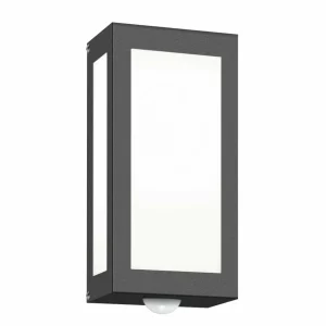 CMD Applique d'extérieur Aqua Rain anthracite avec DDM^ Appliques D'Extérieur Avec Détecteur