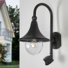 Lindby Applique d’extérieur Daphné noir ancien, détecteur^ Appliques D'Extérieur Avec Détecteur