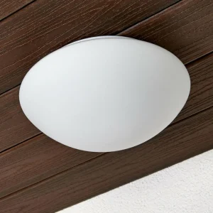 Searchlight Applique d'extérieur en verre Tokyo 28 cm IP44^ Appliques Murales Extérieures