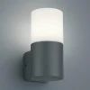Trio Lighting Applique d'extérieur Hoosic à 1 lampe, anthracite^ Appliques Murales Extérieures