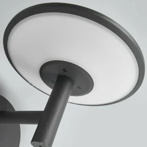 Lucande Applique d'extérieur LED Fenia, anthracite, 21 cm, aluminium^ Appliques Murales Extérieures