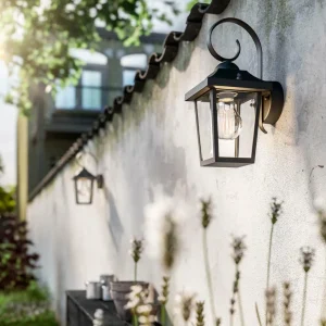 Philips Applique d'extérieur noire Buzzard myGarden^ Appliques Murales Extérieures