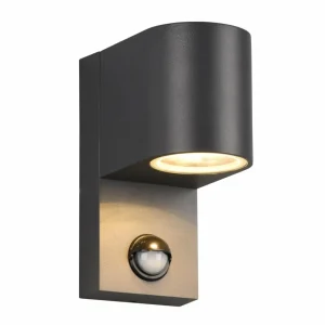 Trio Lighting Applique Roya 1 lampe capteur ronde anthracite^ Appliques D'Extérieur Avec Détecteur