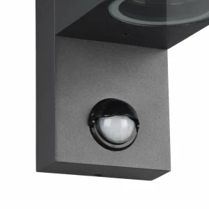 Trio Lighting Applique Roya 1 lampe capteur ronde anthracite^ Appliques D'Extérieur Avec Détecteur