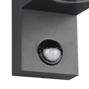 Trio Lighting Applique Roya 2 lampes capteur ronde anthracite^ Appliques D'Extérieur Avec Détecteur