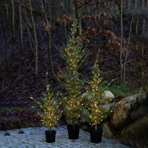 Sirius Arbre à LED Milas Cedar Tree en pot, pour l'extérieur^ Lumière De Noël