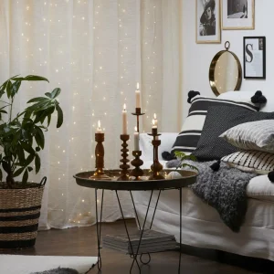 STAR TRADING Bouquet lumineux LED Dew Drop - 5 brins^ Lampes Décoratives