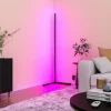 Calex Smart Lampe sur pied LED avec télécommande RGBW^ Lampes Décoratives