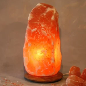 Wagner Life Cristal de sel lumineux Rock avec socle en bois^ Lampes Décoratives