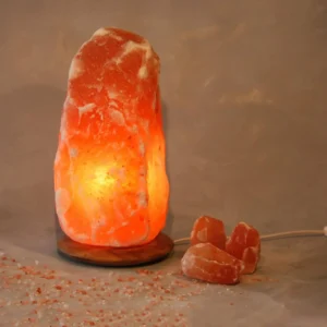Wagner Life Cristal de sel lumineux Rock avec socle en bois^ Lampes Décoratives