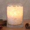 Wagner Life Cristal sel feu polaire verre bougie cire palmier^ Lampes Décoratives