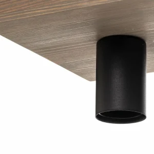 Envostar Lobo plafonnier à 2 lampes pin gris^ Luminaires Durables