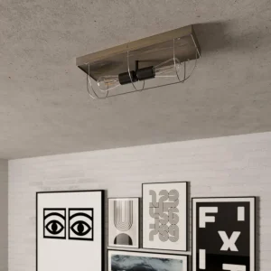 Envostar Neptuna plafonnier, angulaire, à 2 lampes.^ Luminaires Durables