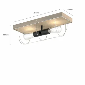 Envostar Neptuna plafonnier, angulaire, à 2 lampes.^ Luminaires Durables