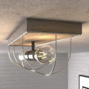 Envostar Neptuna plafonnier, angulaire, à 2 lampes.^ Luminaires Durables