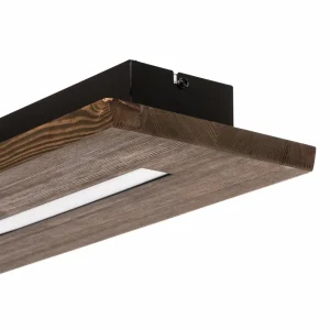 Envostar Tribe plafonnier LED, pin foncé^ Luminaires Durables