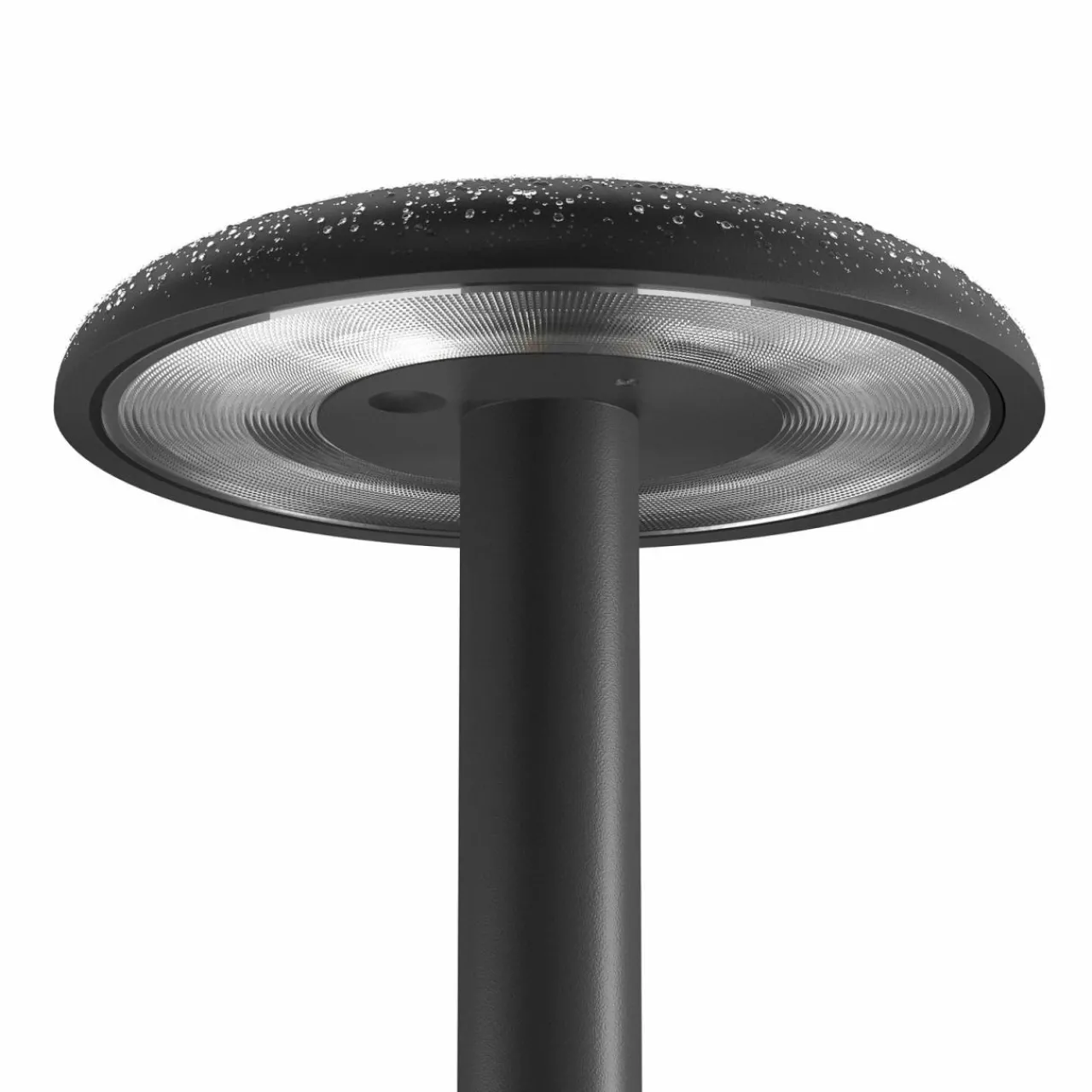 flos_gustave_lampe_table_led_batterie_k_noir_0.webp Flos Architectural FLOS Gustave lampe table LED batterie 3 000 K noir^ Lampes Décoratives