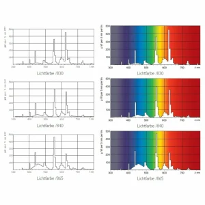 Philips G13 T8 32W 840 Master TL-D Eco^ Tubes Fluorescents
