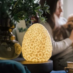Goodnight Light DAISY lamp batterie LED, ivoire^ Lampes Décoratives