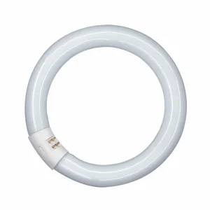 OSRAM G10q 32W 840 Lumilux T9C tube fluorescent circulaire^ Tubes Fluorescents