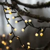 STAR TRADING Guirlande LED Berry Mini à minuterie blanche^ Lampes Décoratives