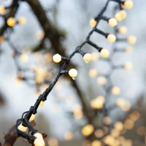 STAR TRADING Guirlande LED Berry Mini à minuterie blanche^ Lampes Décoratives