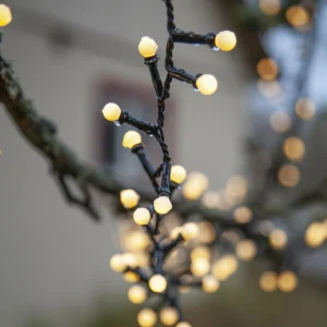 STAR TRADING Guirlande LED Berry Mini à minuterie blanche^ Lampes Décoratives