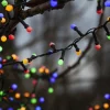 STAR TRADING Guirlande LED Berry Mini à minuterie multicolore^ Lampes Décoratives