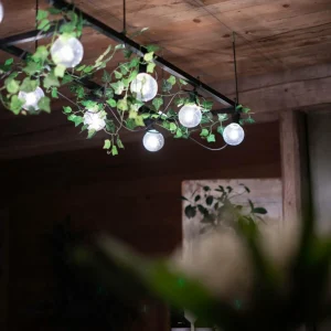 STAR TRADING Guirlande LED Big Circus Filament, 10 lampes^ Lampes Décoratives