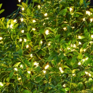 Sirius Guirlande LED Knirke pour l’extérieur, 80 lampes^ Lampes Décoratives