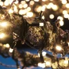 Markslöjd Guirlande lumineuse Chrissline Extra 50 LED 2.850K^ Lumière De Noël