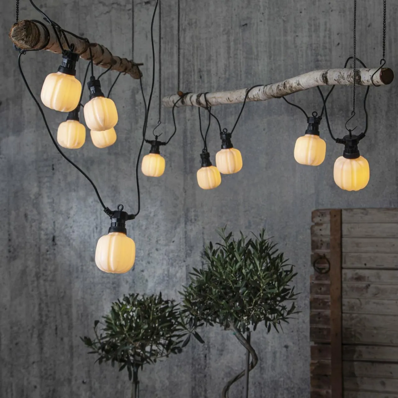 guirlande_lumineuse_led_circus_maxi_3.webp STAR TRADING Guirlande lumineuse LED Circus Maxi^ Lampes Décoratives