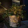 Konstsmide Christmas Guirlande lumineuse LED d'ext. 40 lampes, bl.ch.^ Lumière De Noël