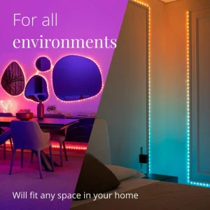 twinkly Guirlande lumineuse LED Dots RVB, noir, IP44, 10m^ Lumière De Noël