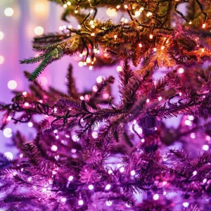 twinkly Guirlande lumineuse RGBW, 250-fl. 20m noir^ Lumière De Noël