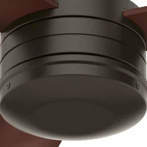 Hunter Cabo Frio ventilateur hêtre foncé^ Ventilateurs