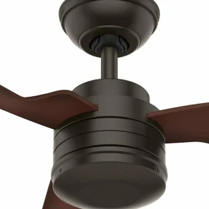 Hunter Cabo Frio ventilateur hêtre foncé^ Ventilateurs