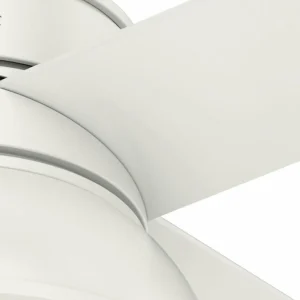 Hunter Loki ventilateur chêne blanchi/blanc^ Ventilateurs