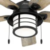 Hunter Santorini ventilateur éclairage, bois/noir^ Ventilateurs