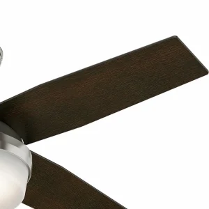 Hunter Ventilateur avec lumière Dante, noir/brun, silencieux, E27^ Ventilateurs