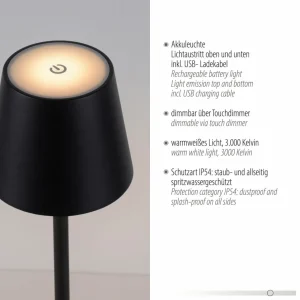 JUST LIGHT. Lampe de table LED rechargeable Euria, noir, fer IP54^ Lampes Décoratives