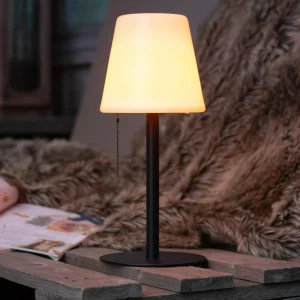 JUST LIGHT. Lampe à poser LED Keno, piquet, tirette, batterie^ Lampes Décoratives