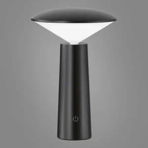 FH Lighting Lampe à poser LED Pinto, CCT, noire^ Lampes Décoratives