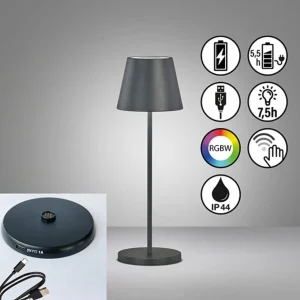 FH Lighting Lampe batterie LED Cosenza 2.0, 34 cm noire^ Lampes Décoratives