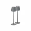 FH Lighting Lampe batterie LED Cosenza x2 gris sable H 38 cm^ Lampes Décoratives