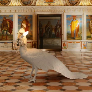 SELETTI Lampe déco LED Peacock Lamp blanche, cristal verre^ Lampes Décoratives