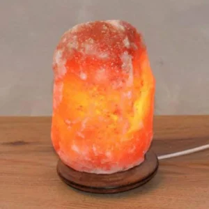 Wagner Life Lampe de sel rocher, avec socle, 1,5-2 kg, ambre^ Lampes Décoratives