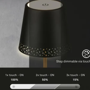Briloner Lampe de table LED Kiki avec poser rechargeable 3.000K noir/or^ Lampes Décoratives
