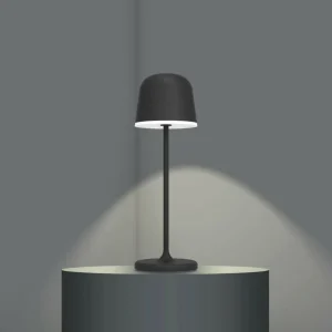 EGLO Lampe de table LED Mannera, batterie, noire^ Lampes Décoratives